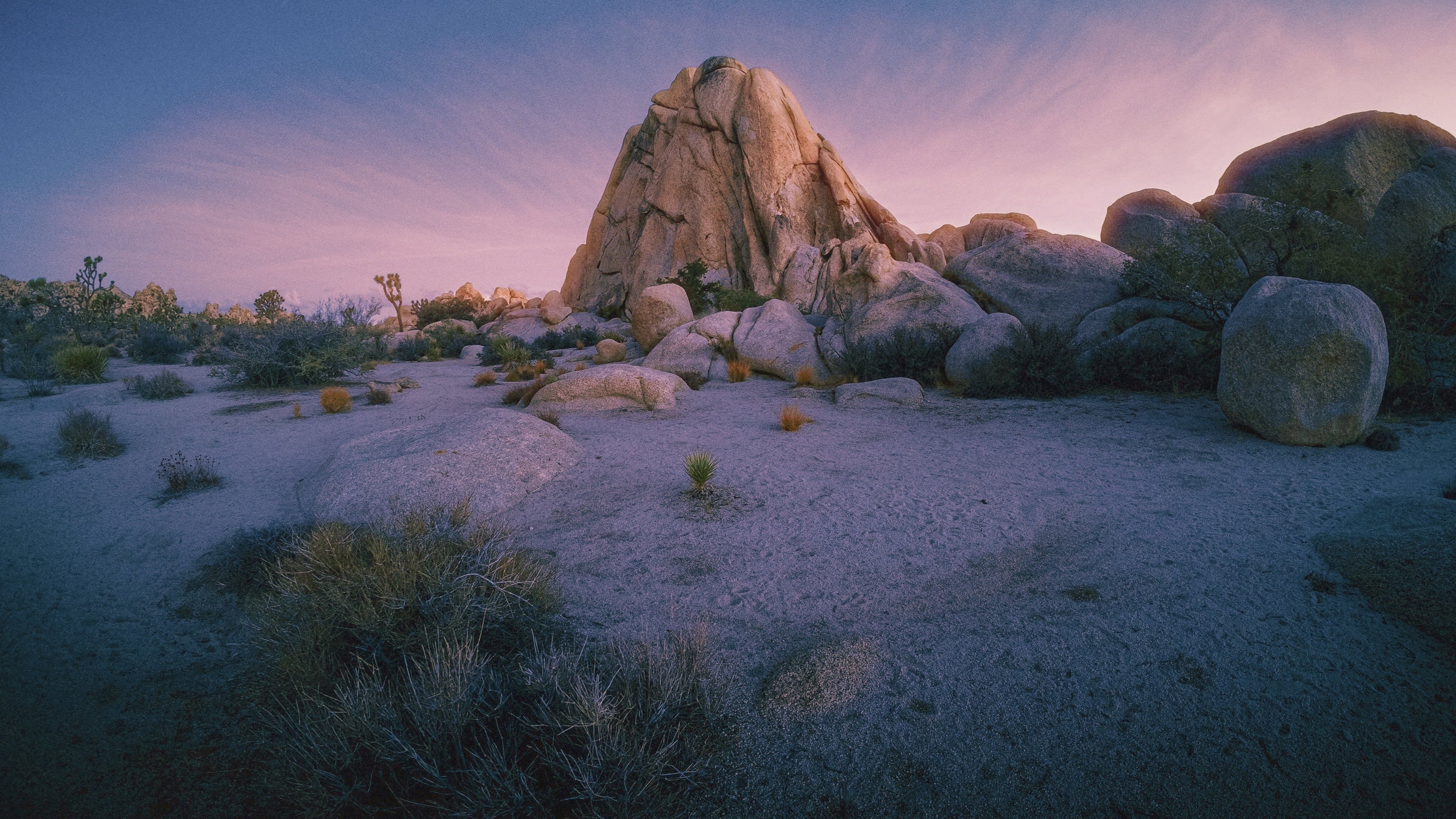 A New Day – Sunrise at Joshua Tree