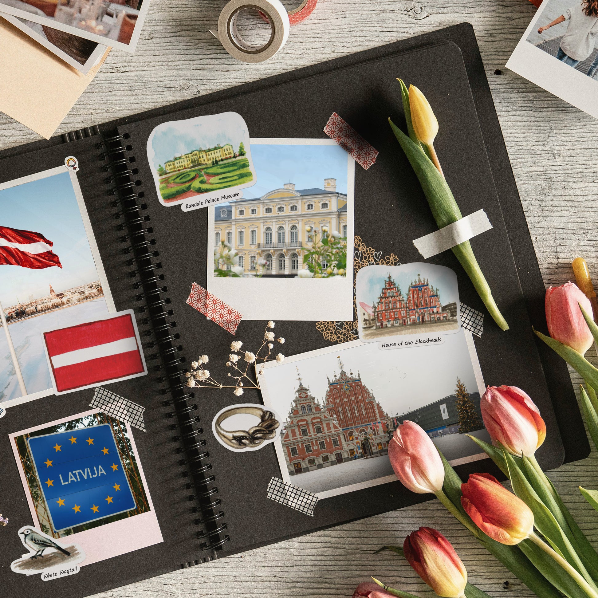 Leafy Latvia Travel Stickers (28pcs)